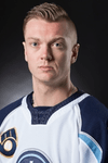 Profile photo of Vince Pedrie