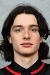 Profile photo of Dominik Badinka