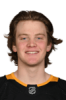Profile photo of Owen Pickering