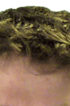 Profile photo of Joe Fallon