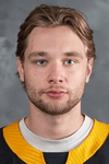 Profile photo of Raivis Ansons