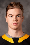 Profile photo of Niclas Almari