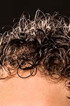 Profile photo of Mark Van Guilder