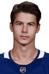 Profile photo of Nikolay Goldobin