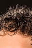 Profile photo of Mark Van Guilder