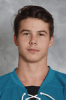 Profile photo of Nikolay Goldobin