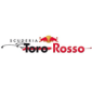 Toro Rosso