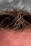 Profile photo of Tyson Sexsmith