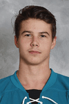 Profile photo of Nikolay Goldobin
