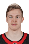Profile photo of Leevi Meriläinen