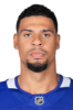 Profile photo of Ryan Reaves